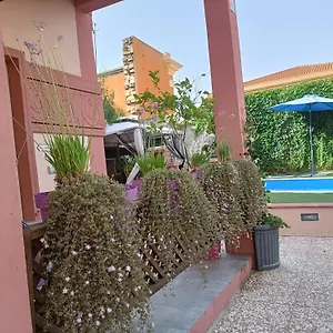 https://maison-belle-epoque-suites.in-sardinia.net